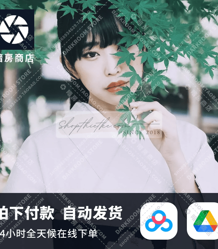 Sản Phẩm Đang Giảm Giá 305 10 Cài Đặt Trước Kèm Profile Tone Màu Cổ Điển Nhật Bản Chân Dung Từ NAG Arai Sinsei (XMP)