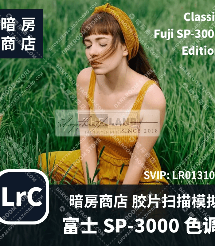 Bộ Cài Đặt Trước Kèm Profile Giả Lập Tone Màu Classic SP3000 Âu Mỹ (XMP)