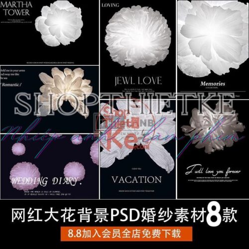 08 Mẫu Background Hoa Khổng Lồ Ghép Ảnh Cưới Studio (PSD)