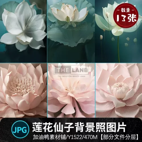 13 Background Liên Hoa Khổng Lồ Cổ Tích Ghép Ảnh Chuyên Nghiệp (PSD)