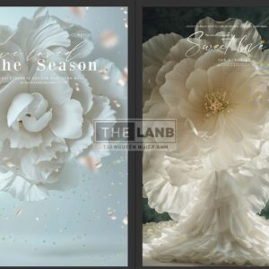 06 Mẫu Background Hoa Trắng AI Lớn Ghép Ảnh Cưới Studio 2024 (PSD)