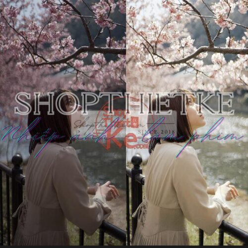 Bộ Cài Đặt Sẵn Kèm Profile Tone Màu Kodak Ektar100 Chuyên Nghiệp Từ NAG Trung Quốc (XMP/CUBE)