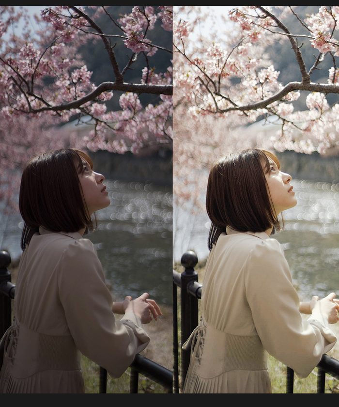 Bộ Cài Đặt Sẵn Kèm Profile Tone Màu Kodak Ektar100 Chuyên Nghiệp Từ NAG Trung Quốc (XMP/CUBE)