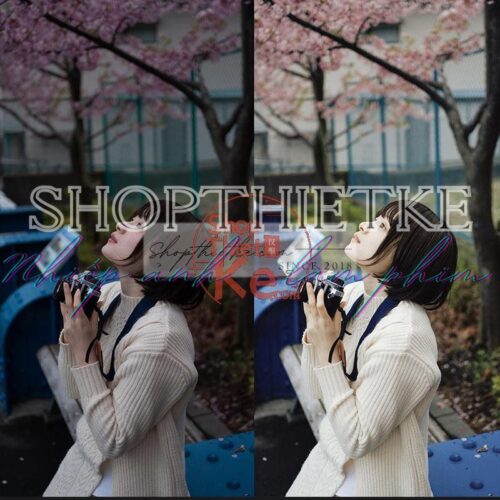 Bộ Cài Đặt Sẵn Kèm Profile Tone Màu Kodak Ektar100 Chuyên Nghiệp Từ NAG Trung Quốc (XMP/CUBE)