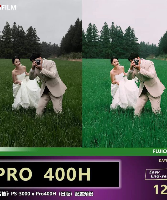 Sản Phẩm Đang Giảm Giá 296 Bộ Profile Màu Fuji Pro400H x SP3000 Dành Cho Ảnh Chân Dung Phong Cách Nhật Bản (XMP/CUBE)