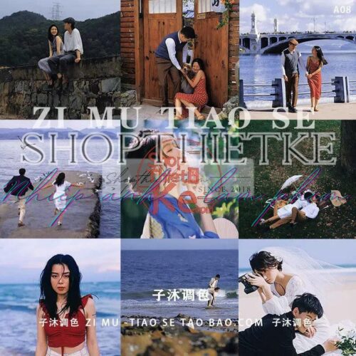 12 Tone Màu HongKong Cổ Điển Phong Showa Đến Từ Arai Shinsei (XMP)