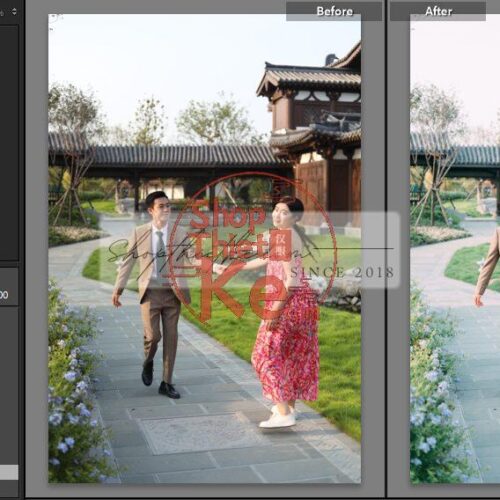 20 Bộ Màu Với Hơn 400 Preset Từ NAG 胖丁 Dành Cho Ảnh Chụp Đám Cưới Hot Xiaohongshu 2024 (XMP)