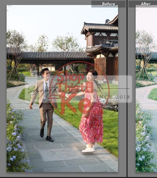 20 Bộ Màu Với Hơn 400 Preset Từ NAG 胖丁 Dành Cho Ảnh Chụp Đám Cưới Hot Xiaohongshu 2024 (XMP)