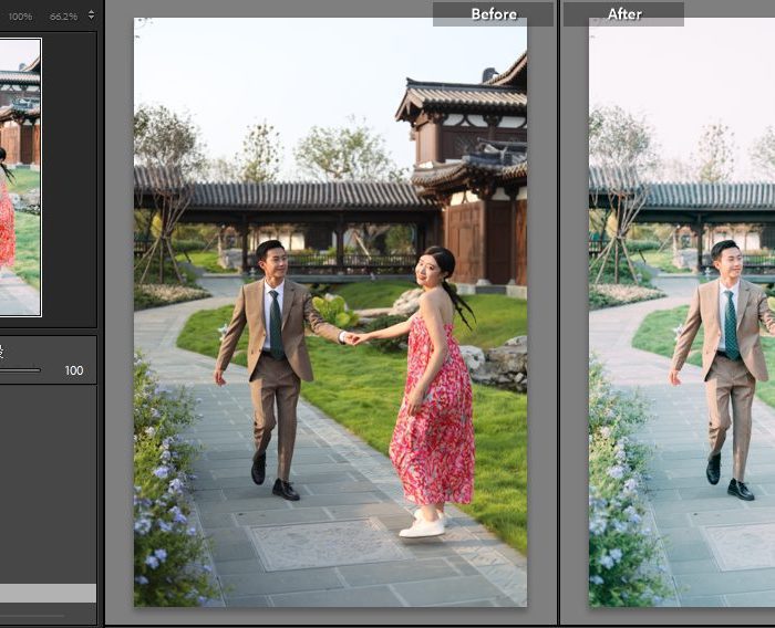 20 Bộ Màu Với Hơn 400 Preset Từ NAG 胖丁 Dành Cho Ảnh Chụp Đám Cưới Hot Xiaohongshu 2024 (XMP)