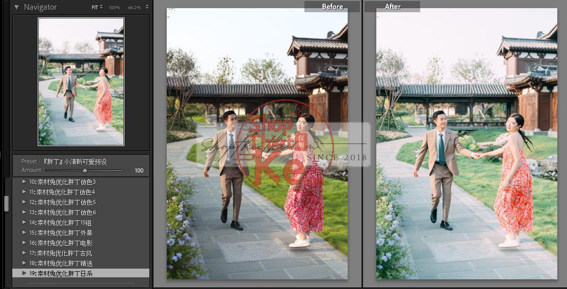 20 Bộ Màu Với Hơn 400 Preset Từ NAG 胖丁 Dành Cho Ảnh Chụp Đám Cưới Hot Xiaohongshu 2024 (XMP) 16 shopthietke com anh 39