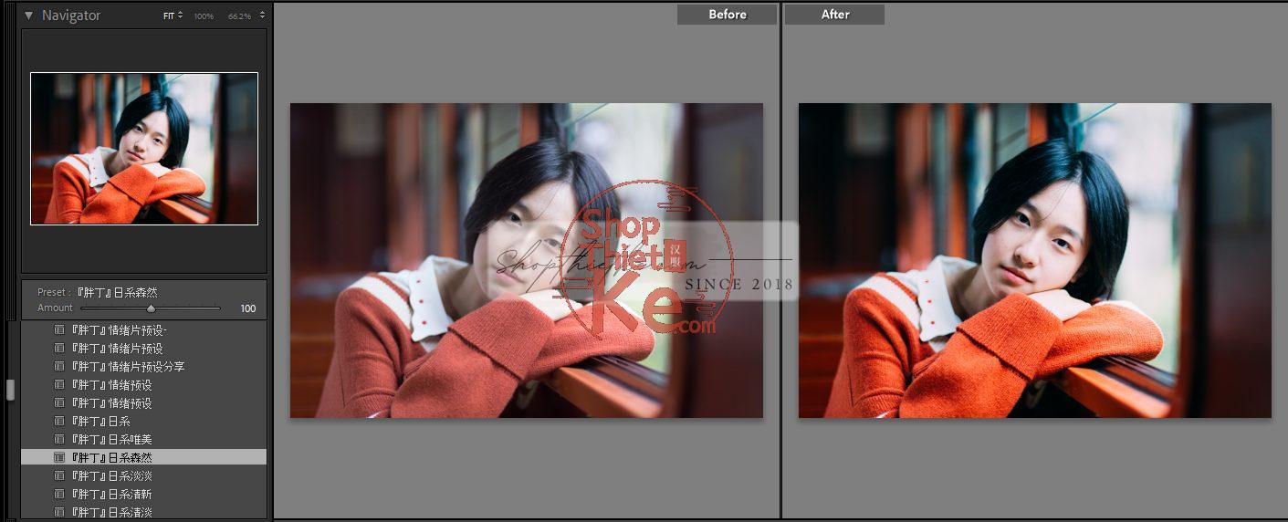 20 Bộ Màu Với Hơn 400 Preset Từ NAG 胖丁 Dành Cho Ảnh Chụp Đám Cưới Hot Xiaohongshu 2024 (XMP) 17 shopthietke com anh 40