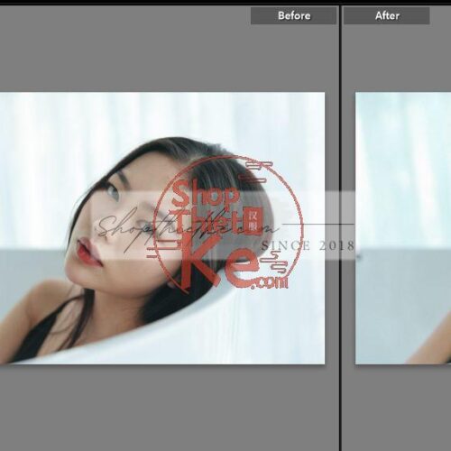 20 Bộ Màu Với Hơn 400 Preset Từ NAG 胖丁 Dành Cho Ảnh Chụp Đám Cưới Hot Xiaohongshu 2024 (XMP)