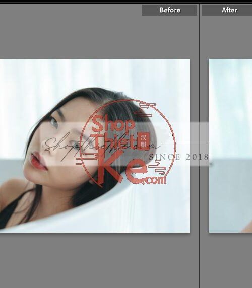 20 Bộ Màu Với Hơn 400 Preset Từ NAG 胖丁 Dành Cho Ảnh Chụp Đám Cưới Hot Xiaohongshu 2024 (XMP)