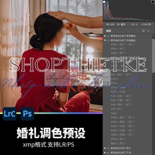 20 Bộ Màu Với Hơn 400 Preset Từ NAG 胖丁 Dành Cho Ảnh Chụp Đám Cưới Hot Xiaohongshu 2024 (XMP)