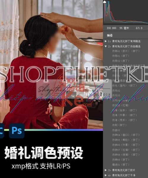 20 Bộ Màu Với Hơn 400 Preset Từ NAG 胖丁 Dành Cho Ảnh Chụp Đám Cưới Hot Xiaohongshu 2024 (XMP)