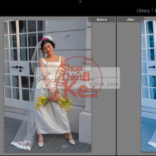 20 Bộ Màu Với Hơn 400 Preset Từ NAG 胖丁 Dành Cho Ảnh Chụp Đám Cưới Hot Xiaohongshu 2024 (XMP)