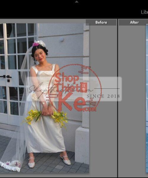 20 Bộ Màu Với Hơn 400 Preset Từ NAG 胖丁 Dành Cho Ảnh Chụp Đám Cưới Hot Xiaohongshu 2024 (XMP)