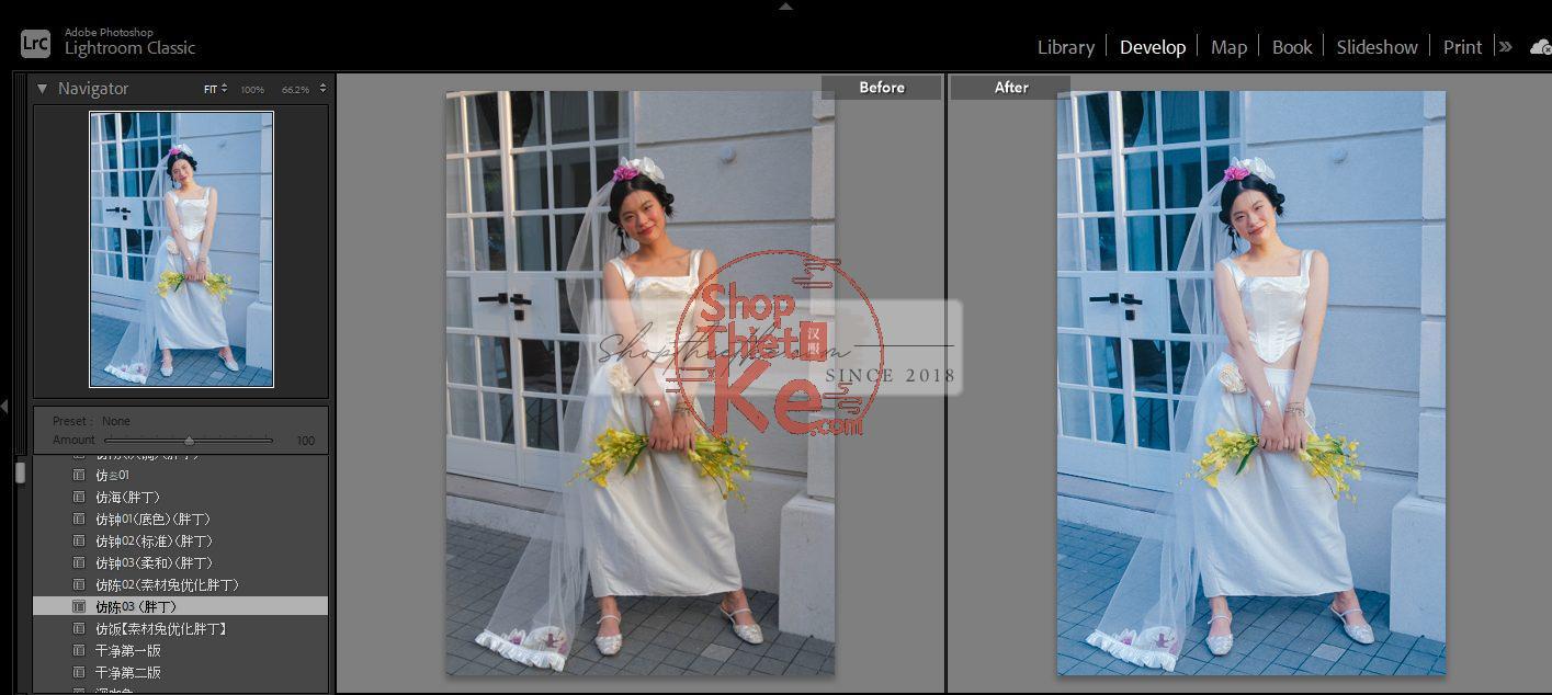 20 Bộ Màu Với Hơn 400 Preset Từ NAG 胖丁 Dành Cho Ảnh Chụp Đám Cưới Hot Xiaohongshu 2024 (XMP) 14 shopthietke com anh 46