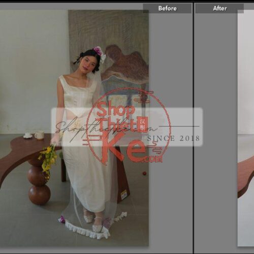 20 Bộ Màu Với Hơn 400 Preset Từ NAG 胖丁 Dành Cho Ảnh Chụp Đám Cưới Hot Xiaohongshu 2024 (XMP)