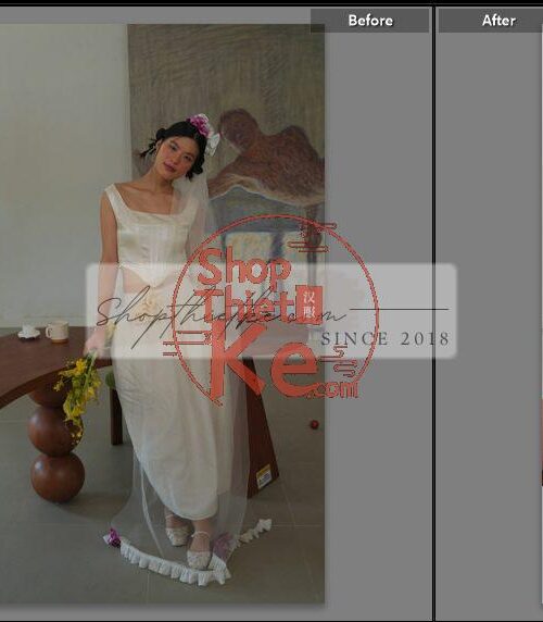 20 Bộ Màu Với Hơn 400 Preset Từ NAG 胖丁 Dành Cho Ảnh Chụp Đám Cưới Hot Xiaohongshu 2024 (XMP)