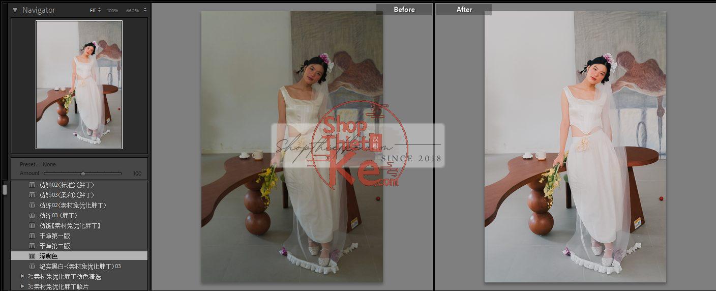 20 Bộ Màu Với Hơn 400 Preset Từ NAG 胖丁 Dành Cho Ảnh Chụp Đám Cưới Hot Xiaohongshu 2024 (XMP) 13 shopthietke com anh 47