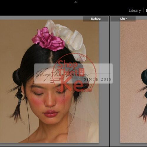 20 Bộ Màu Với Hơn 400 Preset Từ NAG 胖丁 Dành Cho Ảnh Chụp Đám Cưới Hot Xiaohongshu 2024 (XMP)