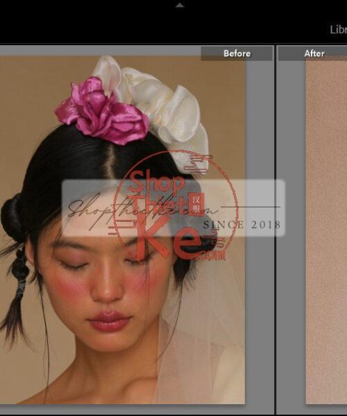 20 Bộ Màu Với Hơn 400 Preset Từ NAG 胖丁 Dành Cho Ảnh Chụp Đám Cưới Hot Xiaohongshu 2024 (XMP)