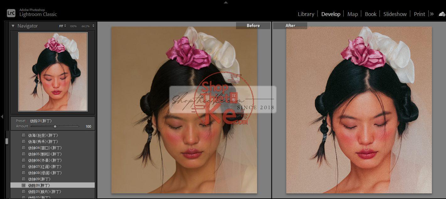 20 Bộ Màu Với Hơn 400 Preset Từ NAG 胖丁 Dành Cho Ảnh Chụp Đám Cưới Hot Xiaohongshu 2024 (XMP) 12 shopthietke com anh 48