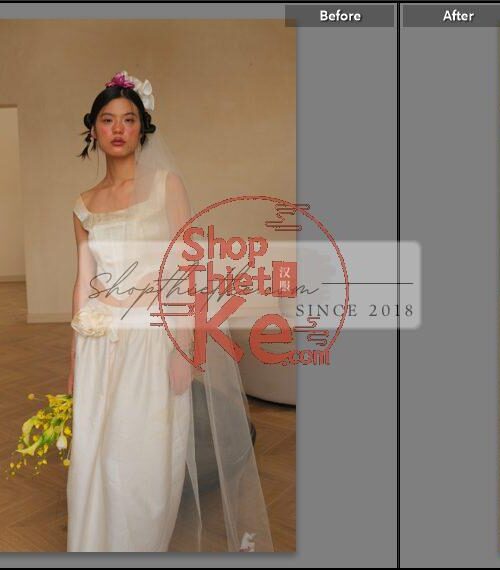 20 Bộ Màu Với Hơn 400 Preset Từ NAG 胖丁 Dành Cho Ảnh Chụp Đám Cưới Hot Xiaohongshu 2024 (XMP)