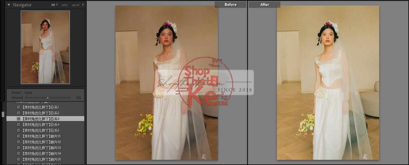 20 Bộ Màu Với Hơn 400 Preset Từ NAG 胖丁 Dành Cho Ảnh Chụp Đám Cưới Hot Xiaohongshu 2024 (XMP) 11 shopthietke com anh 49