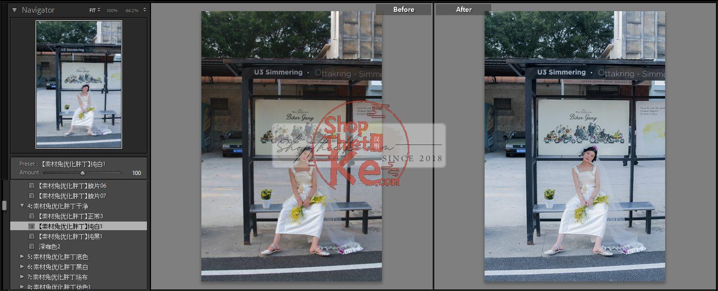 20 Bộ Màu Với Hơn 400 Preset Từ NAG 胖丁 Dành Cho Ảnh Chụp Đám Cưới Hot Xiaohongshu 2024 (XMP) 9 shopthietke com anh 50