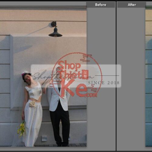 20 Bộ Màu Với Hơn 400 Preset Từ NAG 胖丁 Dành Cho Ảnh Chụp Đám Cưới Hot Xiaohongshu 2024 (XMP)