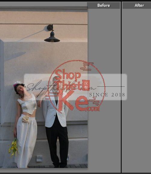 20 Bộ Màu Với Hơn 400 Preset Từ NAG 胖丁 Dành Cho Ảnh Chụp Đám Cưới Hot Xiaohongshu 2024 (XMP)