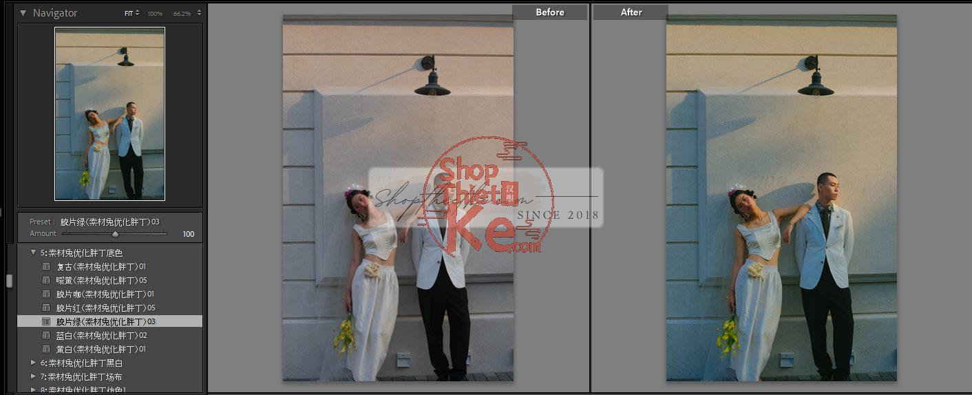 20 Bộ Màu Với Hơn 400 Preset Từ NAG 胖丁 Dành Cho Ảnh Chụp Đám Cưới Hot Xiaohongshu 2024 (XMP) 10 shopthietke com anh 51