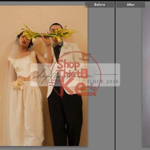 20 Bộ Màu Với Hơn 400 Preset Từ NAG 胖丁 Dành Cho Ảnh Chụp Đám Cưới Hot Xiaohongshu 2024 (XMP)