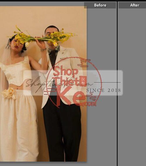 20 Bộ Màu Với Hơn 400 Preset Từ NAG 胖丁 Dành Cho Ảnh Chụp Đám Cưới Hot Xiaohongshu 2024 (XMP)