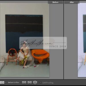 20 Bộ Màu Với Hơn 400 Preset Từ NAG 胖丁 Dành Cho Ảnh Chụp Đám Cưới Hot Xiaohongshu 2024 (XMP) 24 shopthietke com anh 53