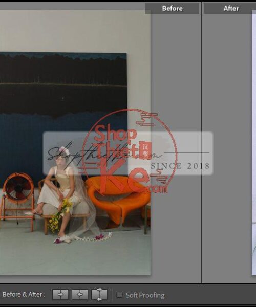 20 Bộ Màu Với Hơn 400 Preset Từ NAG 胖丁 Dành Cho Ảnh Chụp Đám Cưới Hot Xiaohongshu 2024 (XMP)