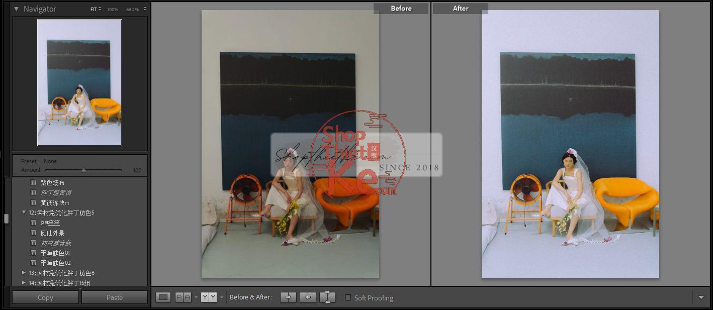 20 Bộ Màu Với Hơn 400 Preset Từ NAG 胖丁 Dành Cho Ảnh Chụp Đám Cưới Hot Xiaohongshu 2024 (XMP) 8 shopthietke com anh 53