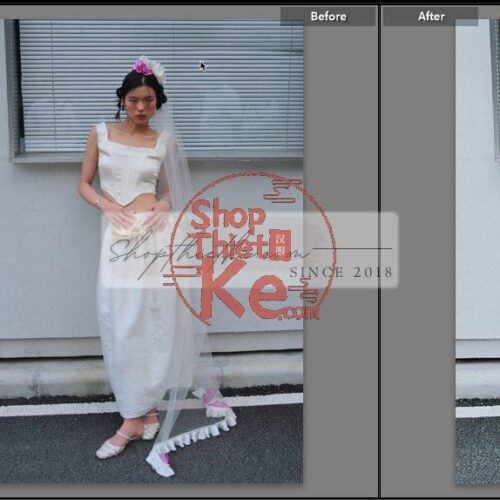 20 Bộ Màu Với Hơn 400 Preset Từ NAG 胖丁 Dành Cho Ảnh Chụp Đám Cưới Hot Xiaohongshu 2024 (XMP)