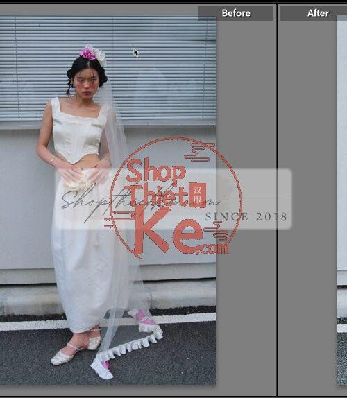 20 Bộ Màu Với Hơn 400 Preset Từ NAG 胖丁 Dành Cho Ảnh Chụp Đám Cưới Hot Xiaohongshu 2024 (XMP)