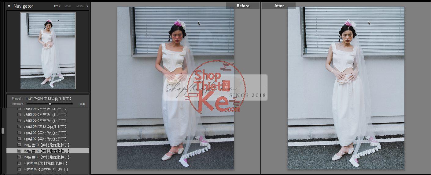 20 Bộ Màu Với Hơn 400 Preset Từ NAG 胖丁 Dành Cho Ảnh Chụp Đám Cưới Hot Xiaohongshu 2024 (XMP) 4 shopthietke com anh 55