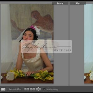 20 Bộ Màu Với Hơn 400 Preset Từ NAG 胖丁 Dành Cho Ảnh Chụp Đám Cưới Hot Xiaohongshu 2024 (XMP) 21 shopthietke com anh 56