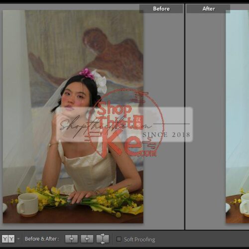 20 Bộ Màu Với Hơn 400 Preset Từ NAG 胖丁 Dành Cho Ảnh Chụp Đám Cưới Hot Xiaohongshu 2024 (XMP)