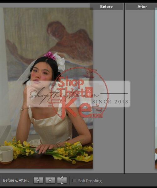 20 Bộ Màu Với Hơn 400 Preset Từ NAG 胖丁 Dành Cho Ảnh Chụp Đám Cưới Hot Xiaohongshu 2024 (XMP)