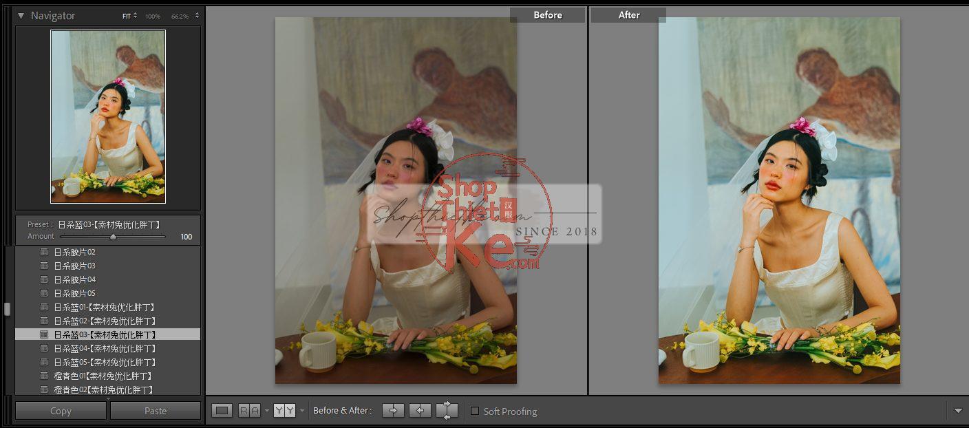 20 Bộ Màu Với Hơn 400 Preset Từ NAG 胖丁 Dành Cho Ảnh Chụp Đám Cưới Hot Xiaohongshu 2024 (XMP) 5 shopthietke com anh 56