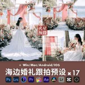 17 Tone Màu Trong Lành, Sang Trọng Cho Ảnh Cưới Bên Bãi Biển (XMP/LR/DNG/CUBE/COS)