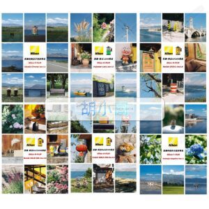 Trọn Bộ Preset Dành Cho Dòng Máy Nikon Với Tone Màu Film Từ 胡小同 - Hu Xiaotong (XMP/DNG)