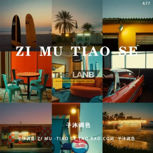 Bộ Preset Tone Màu Cinematic Dành Cho Cảnh Đêm, Hoàng Hôn (XMP/CUBE)