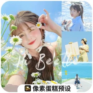 30 Tone Màu Trong Sáng Và Dễ Thương Phong Cách Nhật Bản (XMP/CUBE)